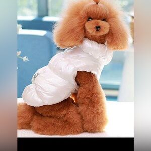 Iridescent White Dog & Cat Puffer Jacket | Crystal Bow | M | New